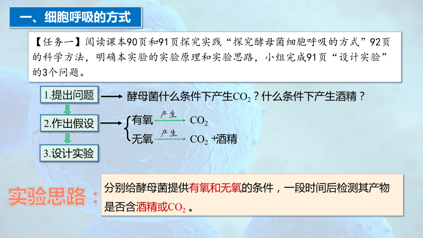 5.3 细胞呼吸的原理和应用（第1课时）(共33张PPT1个视频)-人教版2019必修1