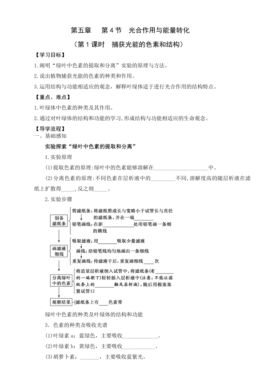 5.4光合作用与能量转化（第1课时）学案-2023-2024学年高一上学期生物人教版（2019）必修1（无答案）