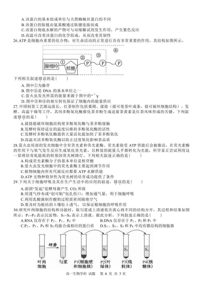 浙江省“衢温5+1”联盟2023-2024学年高一上学期期中联考生物试题（Word版含答案）