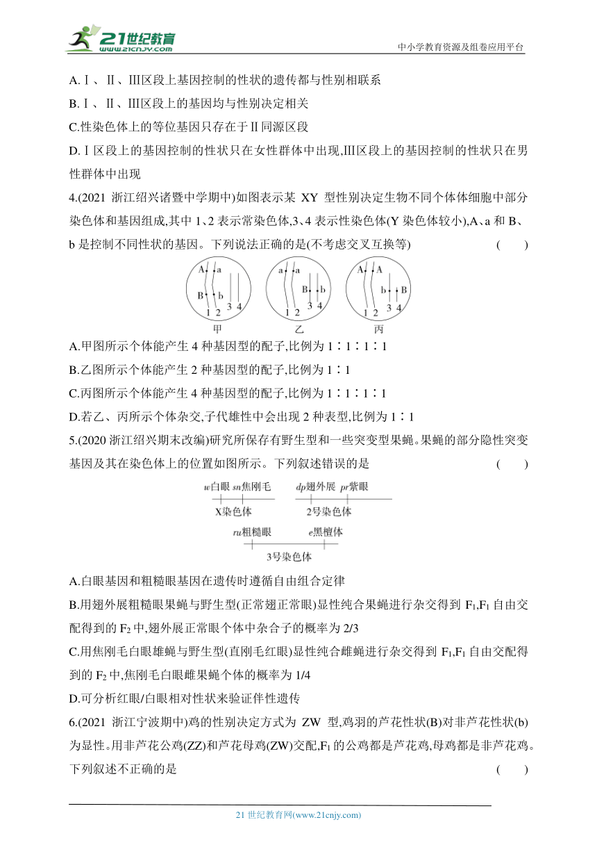 浙科版（2019）高中生物必修2同步练习题：2.3 性染色体上基因的传递和性别相关联（含解析）