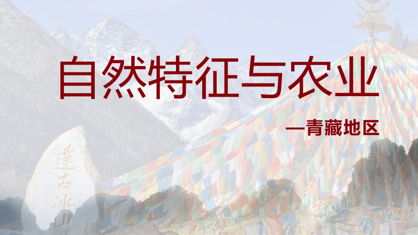 9.1青藏地区的自然特征与农业课件（共36张PPT）八年级地理下学期人教版