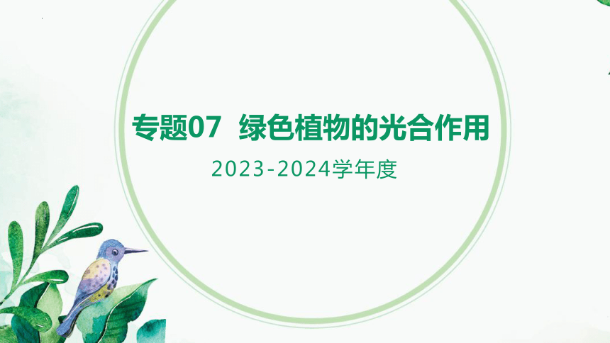 专题 绿色植物的光合作用2023-2024年中考一轮复习精品课件（全国通用）(共23张PPT)