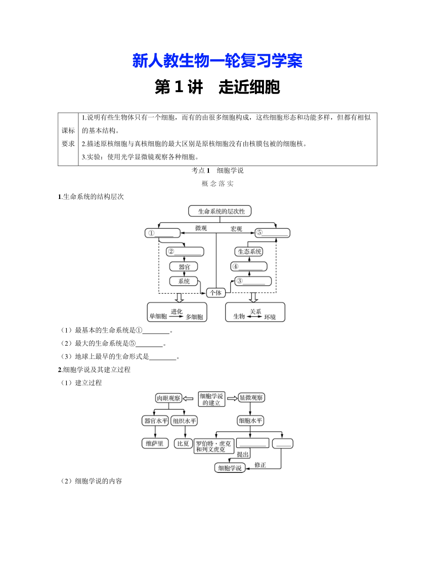 新人教生物一轮复习学案：第1讲　走近细胞（含答案解析）