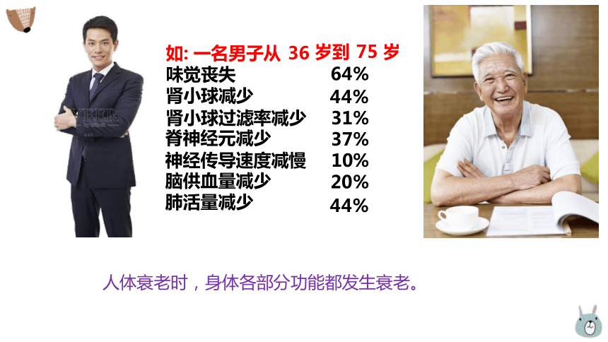 6.3 细胞的衰老和死亡课件(共24张PPT)-高一生物学（人教版2019必修1）