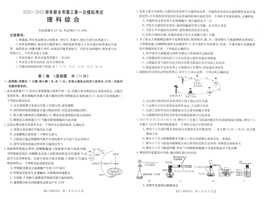 2024届河南省新乡市高三第一次模拟考试理科综合试题（无答案）