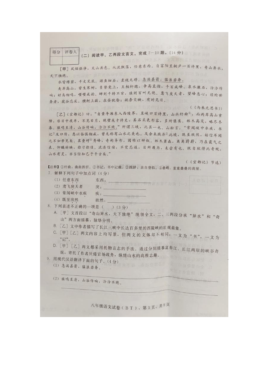 河北省沧州市泊头市2023-2024学年八年级上学期期中检测语文试卷（图片版无答案）