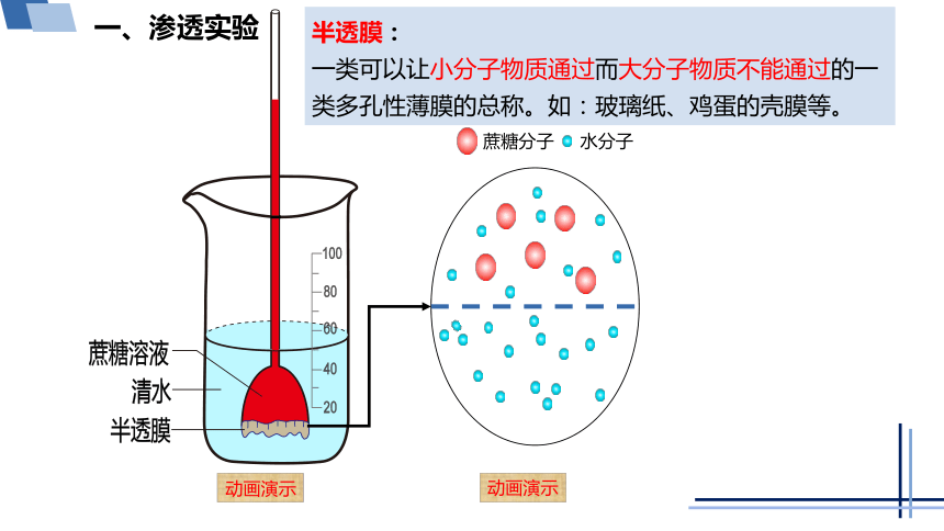 生物人教版（2019）必修1 4.1被动运输（共34张ppt3份视频）