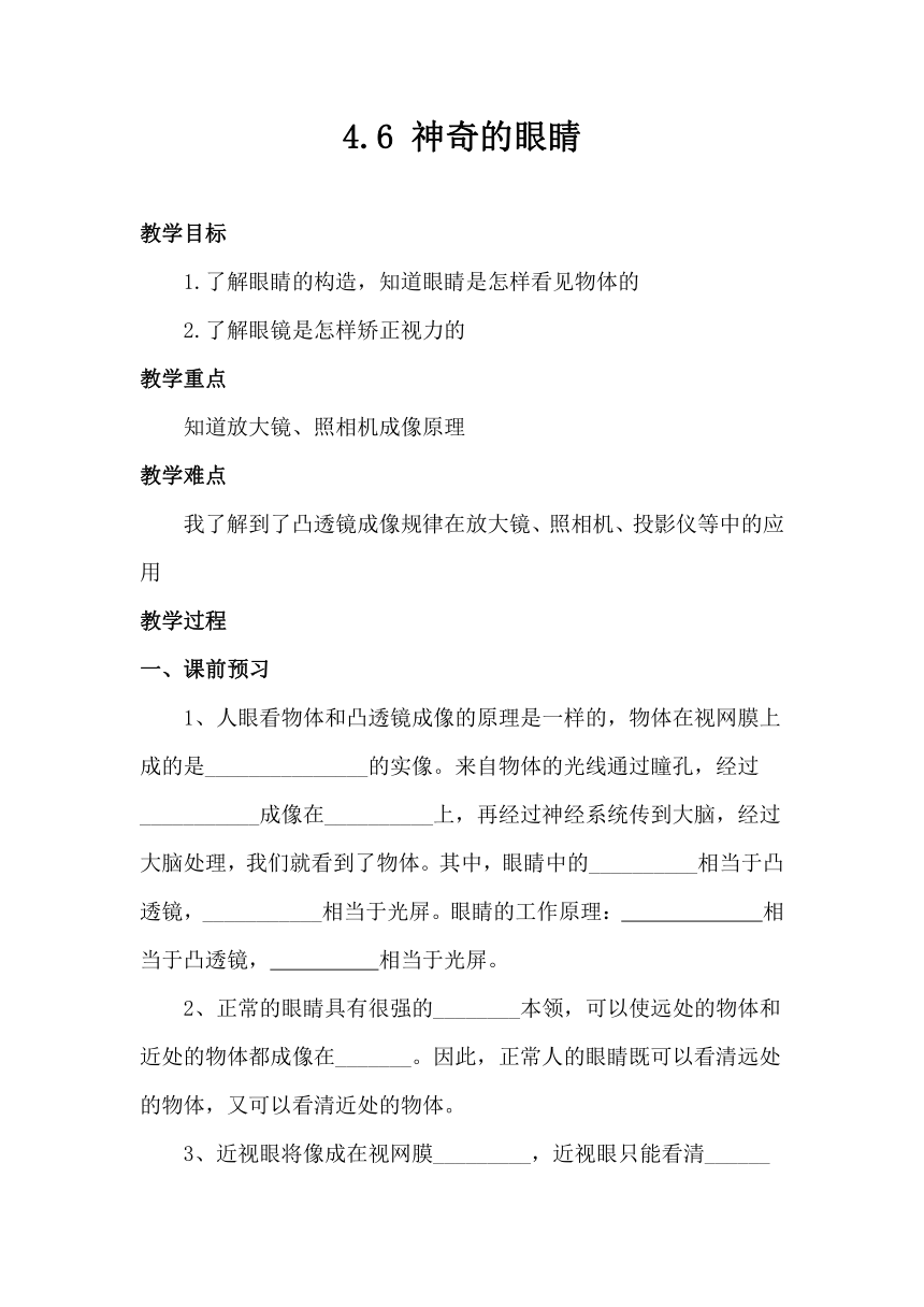 4.6 神奇的眼睛 学案（无答案） 2023-2024年沪科版物理八年级全册