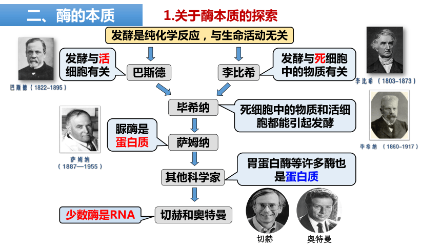 5.1 降低化学反应活化能的酶课件(共47张PPT1份视频)-人教版2019必修1