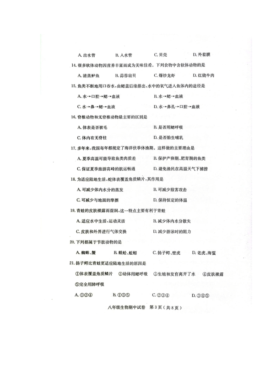 广东省茂名市电白区2023-2024学年八年级上学期期中生物试卷（图片版含答案）