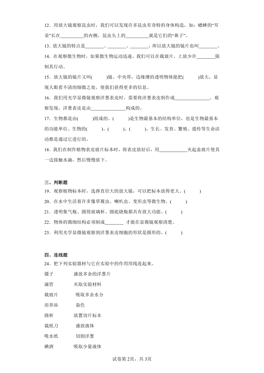 教科版六年级上册科学第一单元微小世界综合训练题（含答案）