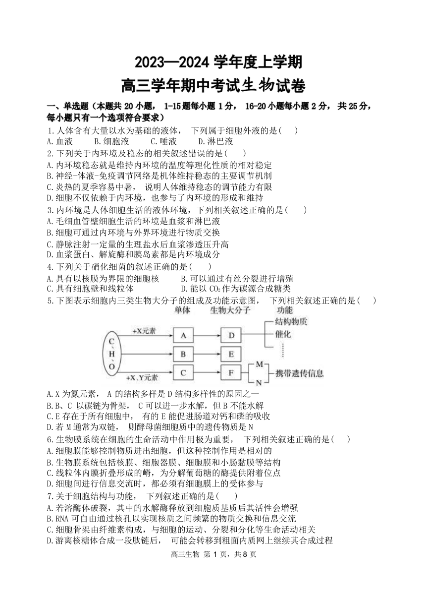 黑龙江省哈尔滨市2023_2024学年度上学期高三学年期中考试生物试卷（Word版含答案）