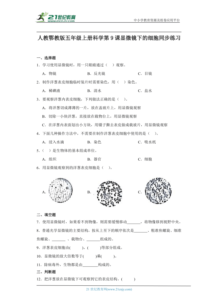 人教鄂教版五年级上册科学3.9 显微镜下的细胞 同步练习（含答案）