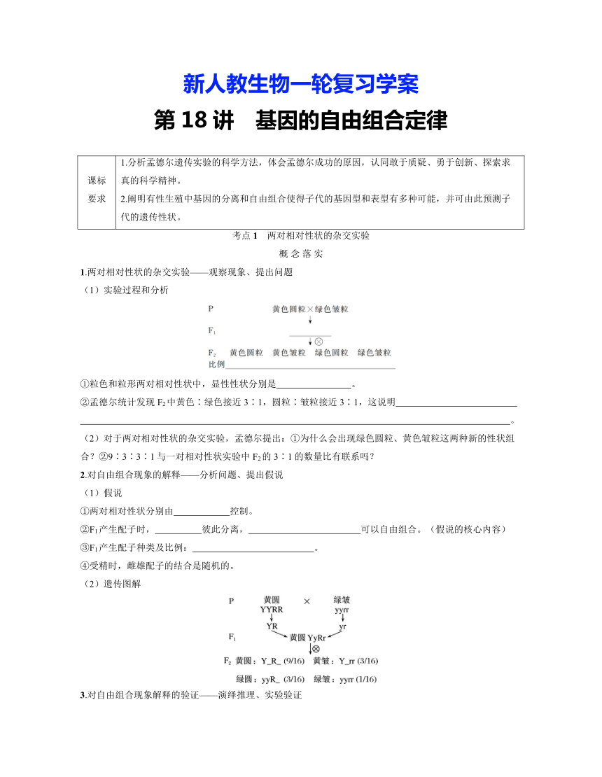 新人教生物一轮复习学案：第18讲　基因的自由组合定律（含答案解析）