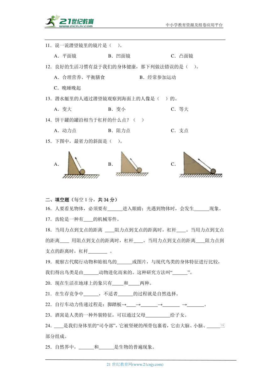 粤教版六年级上册科学期末测试题（含答案）