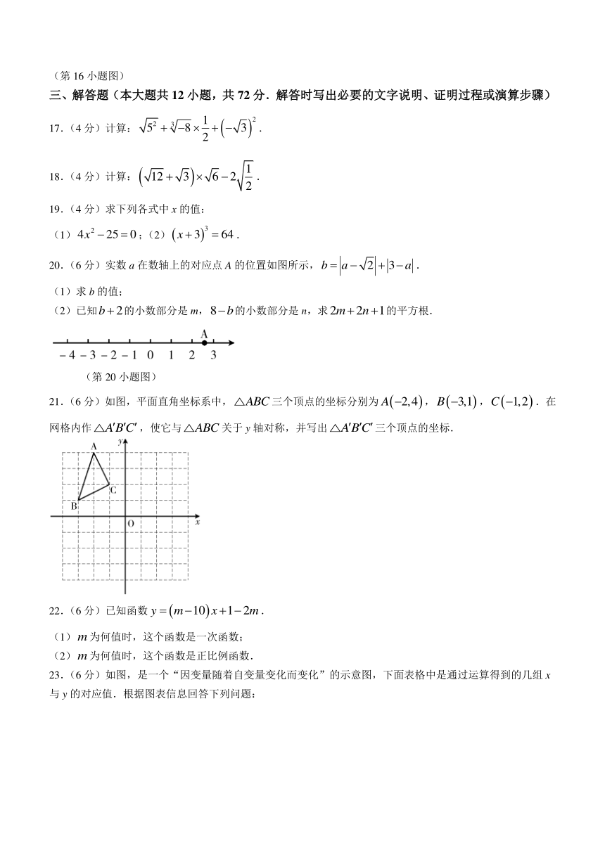 甘肃省兰州市红古区2023-2024学年八年级上学期期中数学试题（北师大版）（含答案）