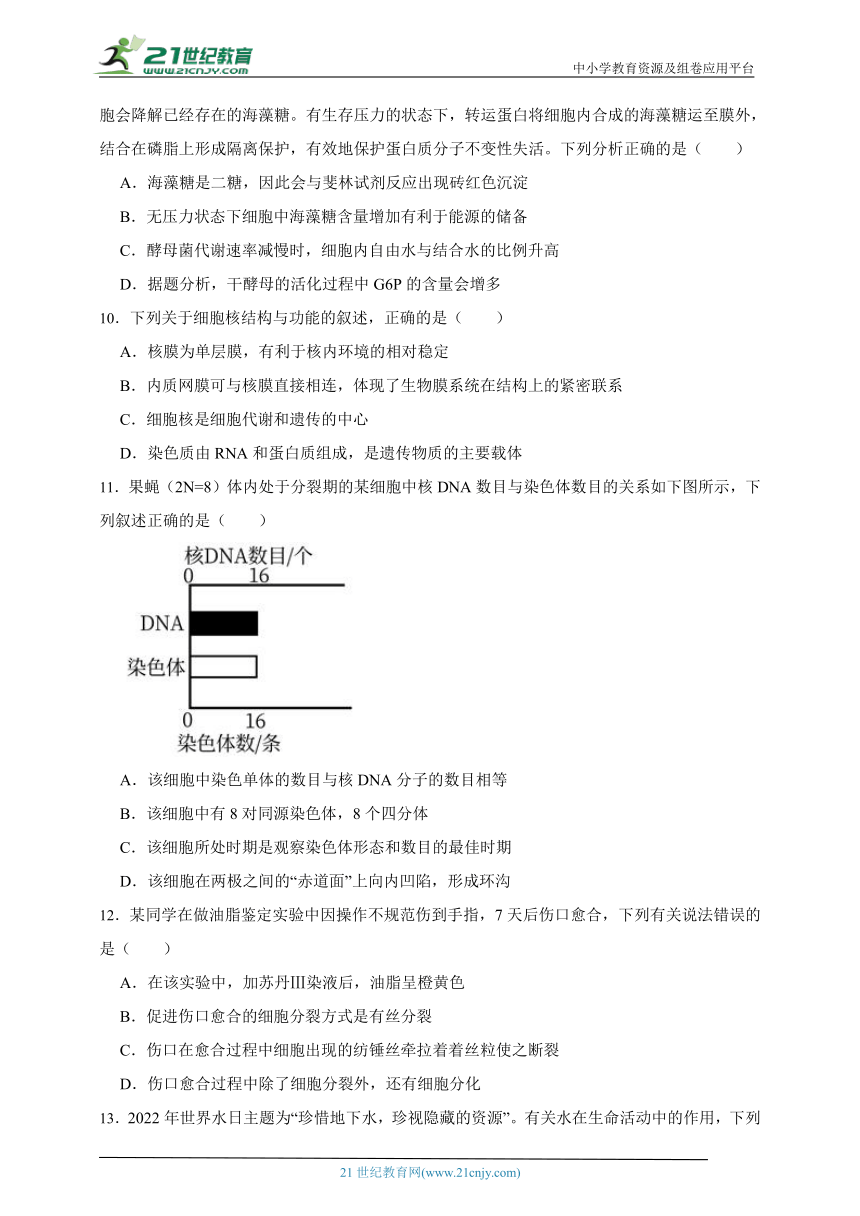 2023-2024学年高中生物北师大版（2019）高一上学期期末测试模拟卷（含解析）