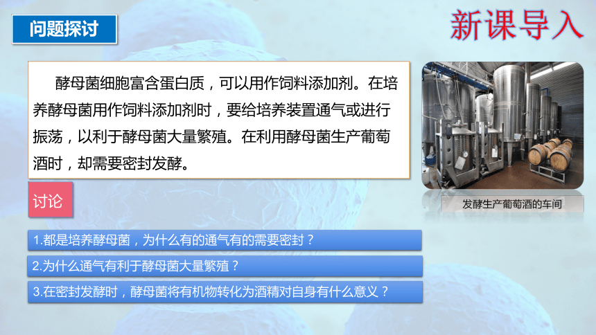 5.3 细胞呼吸的原理和应用（第1课时）(共33张PPT1个视频)-人教版2019必修1