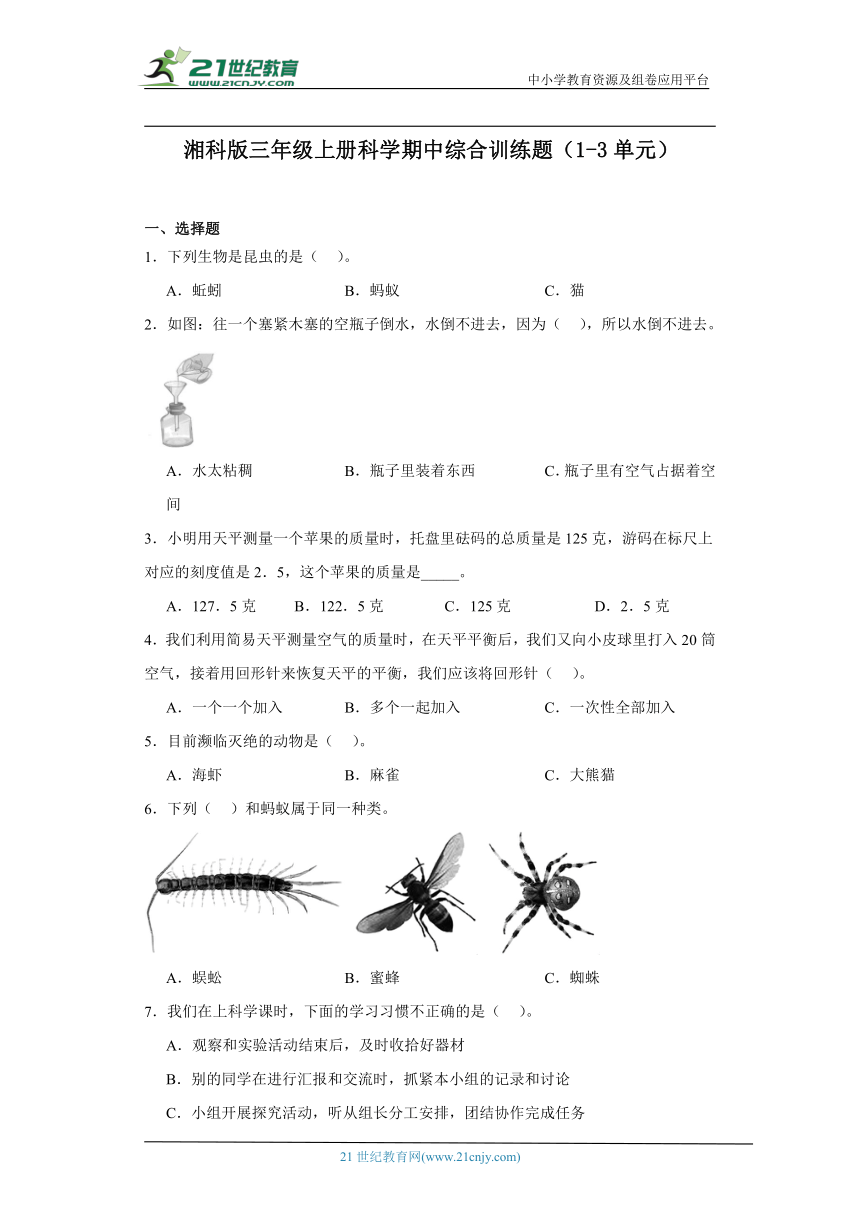 湘科版三年级上册科学期中综合训练题（1-3单元）（含答案）