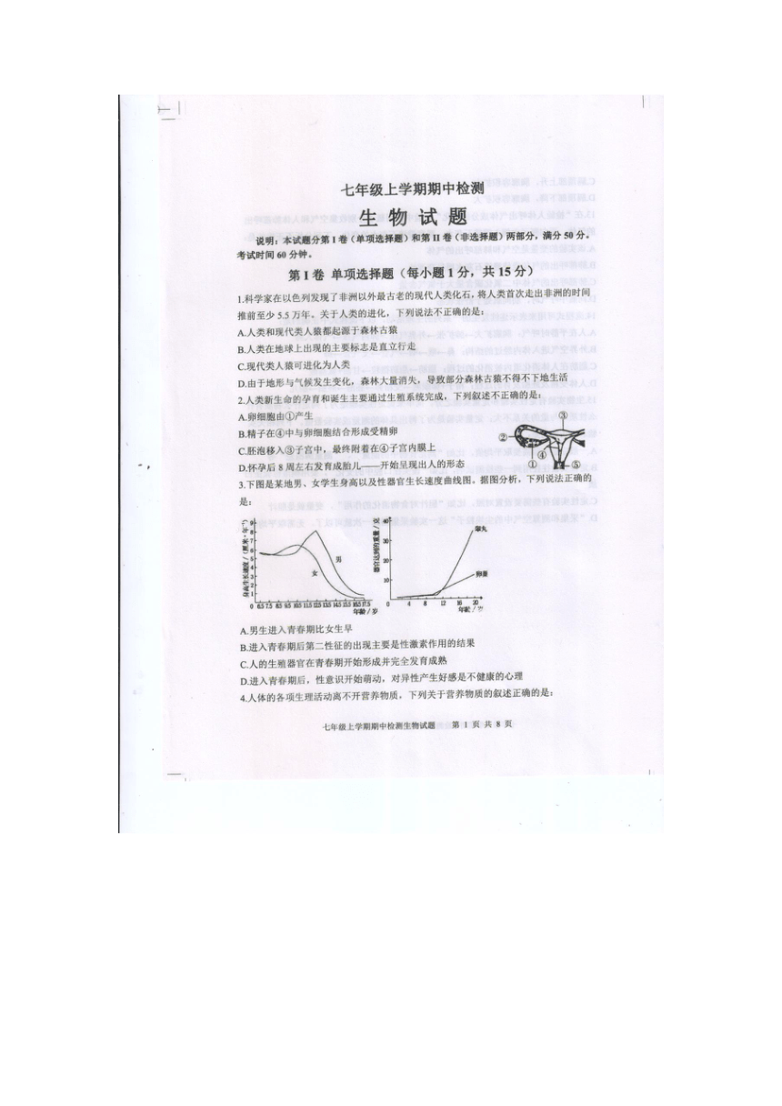 山东省泰安市新泰市2023-2024学年七年级上学期期中生物试题（图片版，含答案）