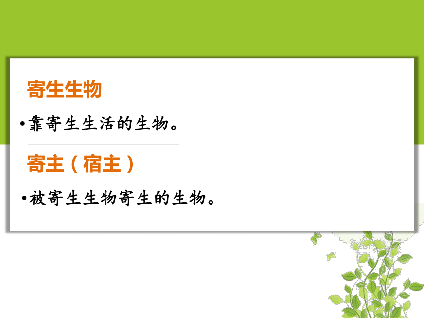 4.4 其他生物的营养 课件(共39张PPT)2023-2024学年京改版生物七年级上册