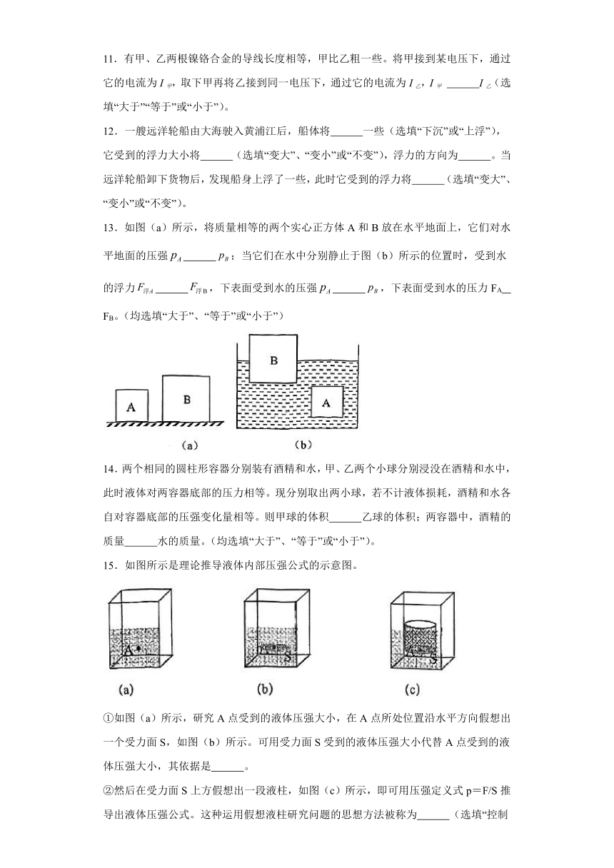 上海市杨浦区存志学校2023-2024学年九年级上学期期中考试物理试题（含解析）