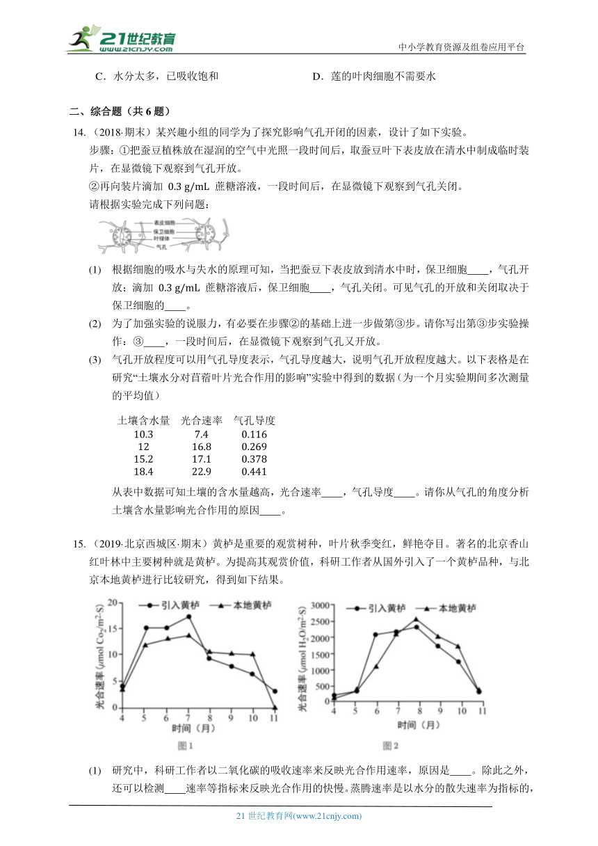 2023-2024学年初中生物苏科版八年级上册18.1绿色植物与生物圈的水循环同步练习（答案+解析）