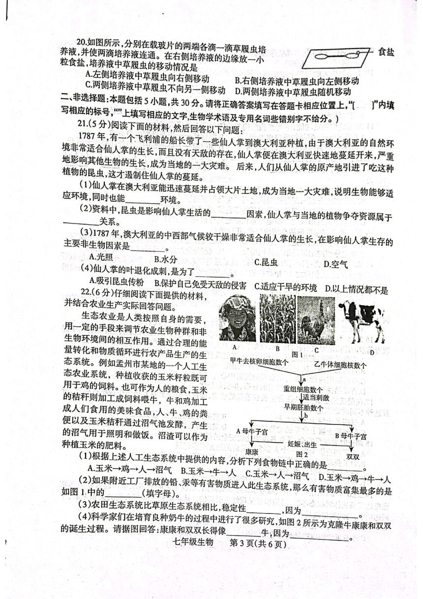 河南省焦作市温县2023-2024学年七年级上学期期中生物试题（PDF版无答案）