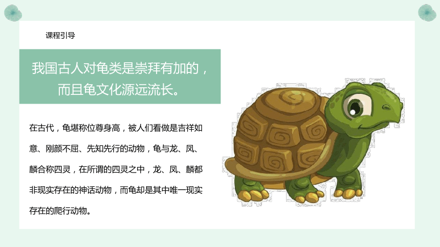 美术社团课程《 可爱的小乌龟》课件(共24张PPT) 小学延时服务