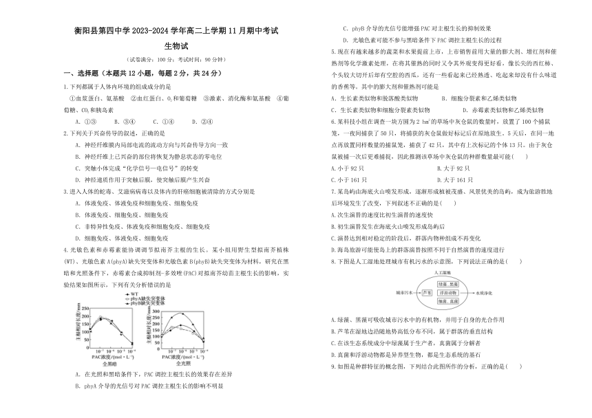 湖南省衡阳市衡阳县第四中学2023-2024学年高二上学期11月期中考试生物学试卷（含解析）