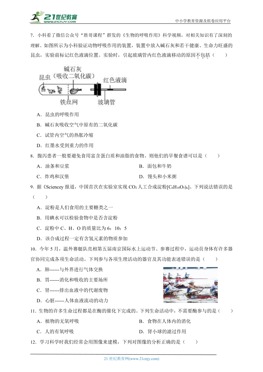 2024年中考科学第一轮复习：生物之生物体内物质和能量转换