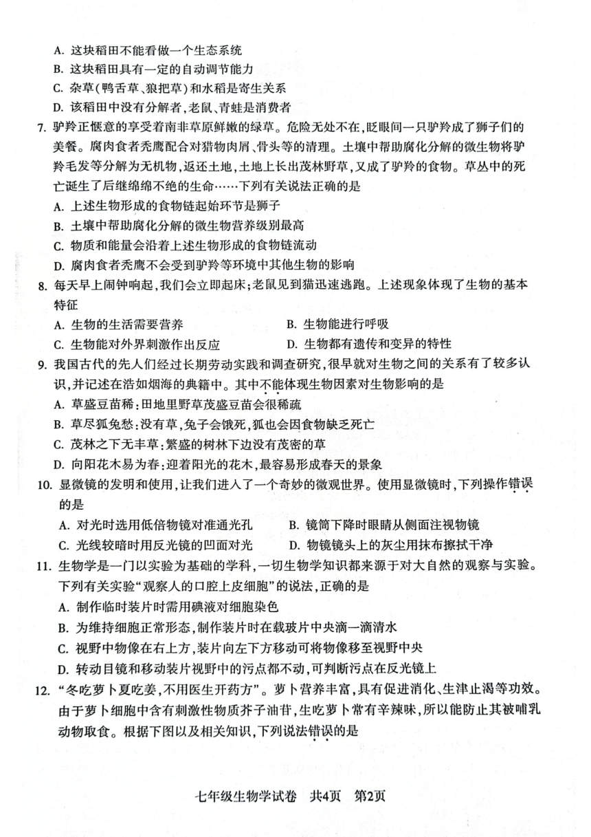 湖北省2023-2024学年七年级上学期期中联考生物试题（PDF版无答案）
