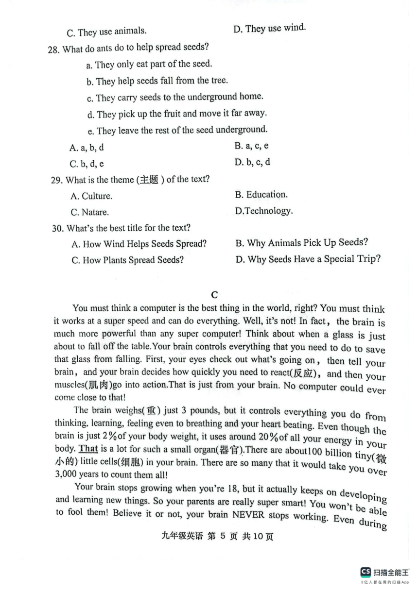 河南省南阳市社旗县2023-2024学年九年级上学期11月期中英语试题（PDF版，无答案，无听力音频及原文）