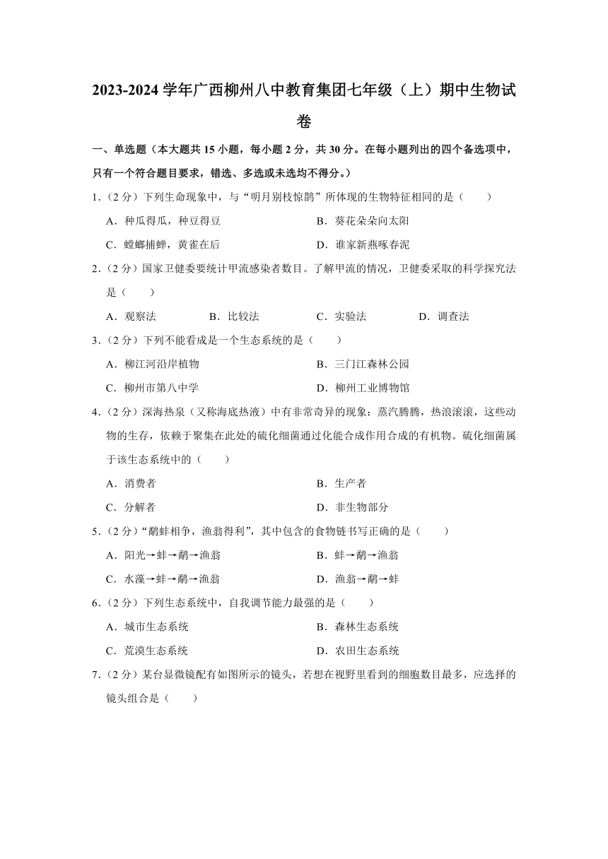 广西柳州市第八中学教育集团2023-2024学年七年级上学期期中生物试卷（含解析）