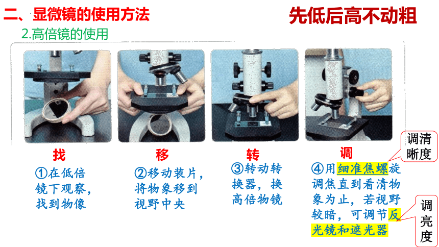 1.2 细胞的多样性和统一性（第1课时）高一生物课件（共21张PPT)（人教版2019必修1）