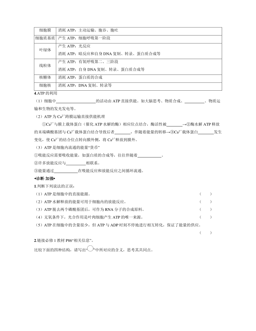 新人教生物一轮复习学案：第9讲　ATP（含答案解析）