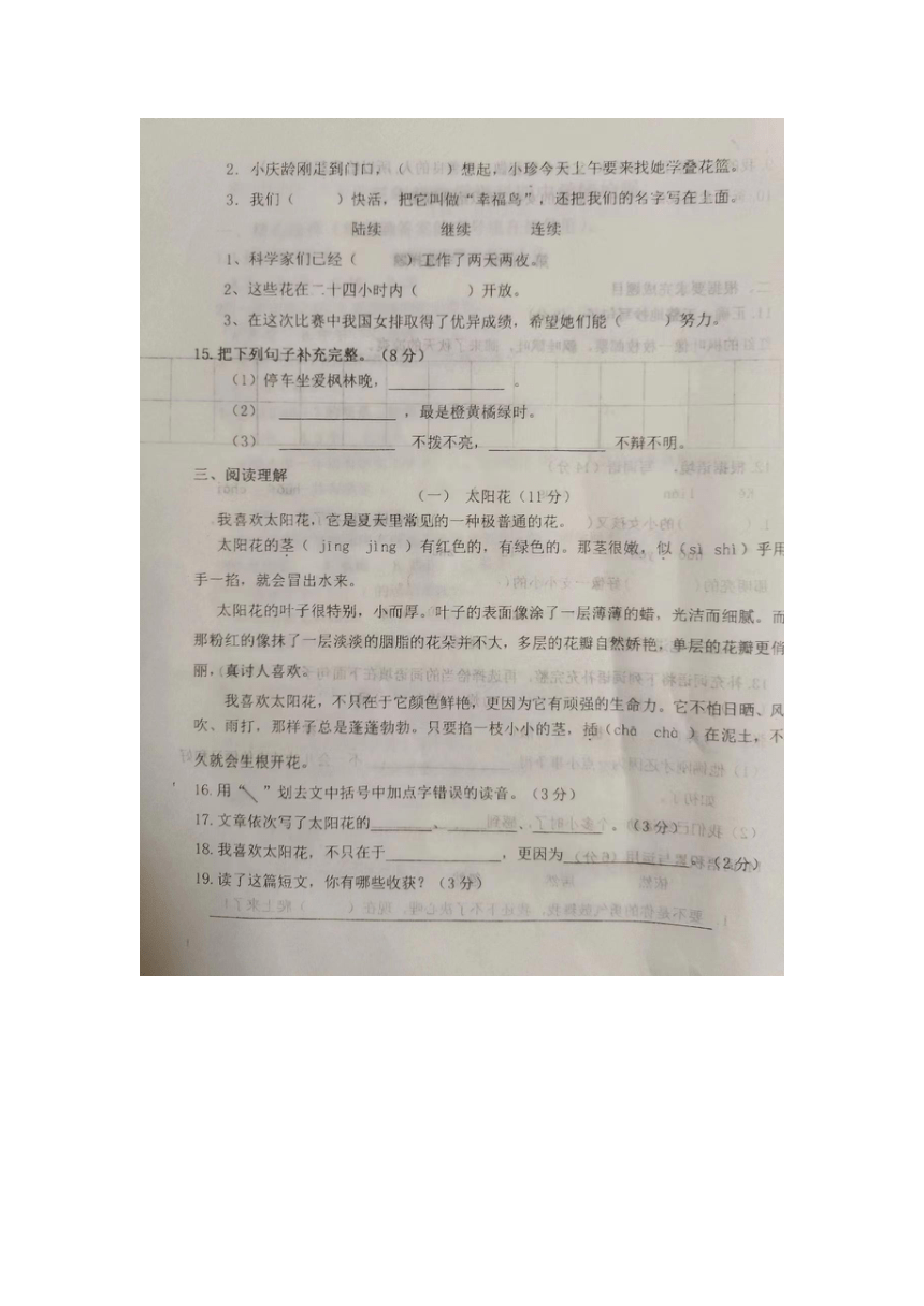 山东省潍坊市诸城市2023-2024学年三年级上学期11月期中语文试题（图片版，无答案）