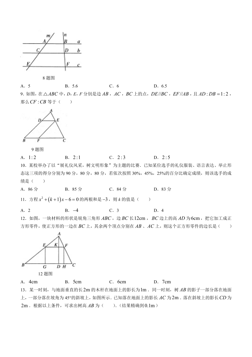 河北省石家庄市正定县2023-2024学年九年级上学期期中数学试题（含答案）