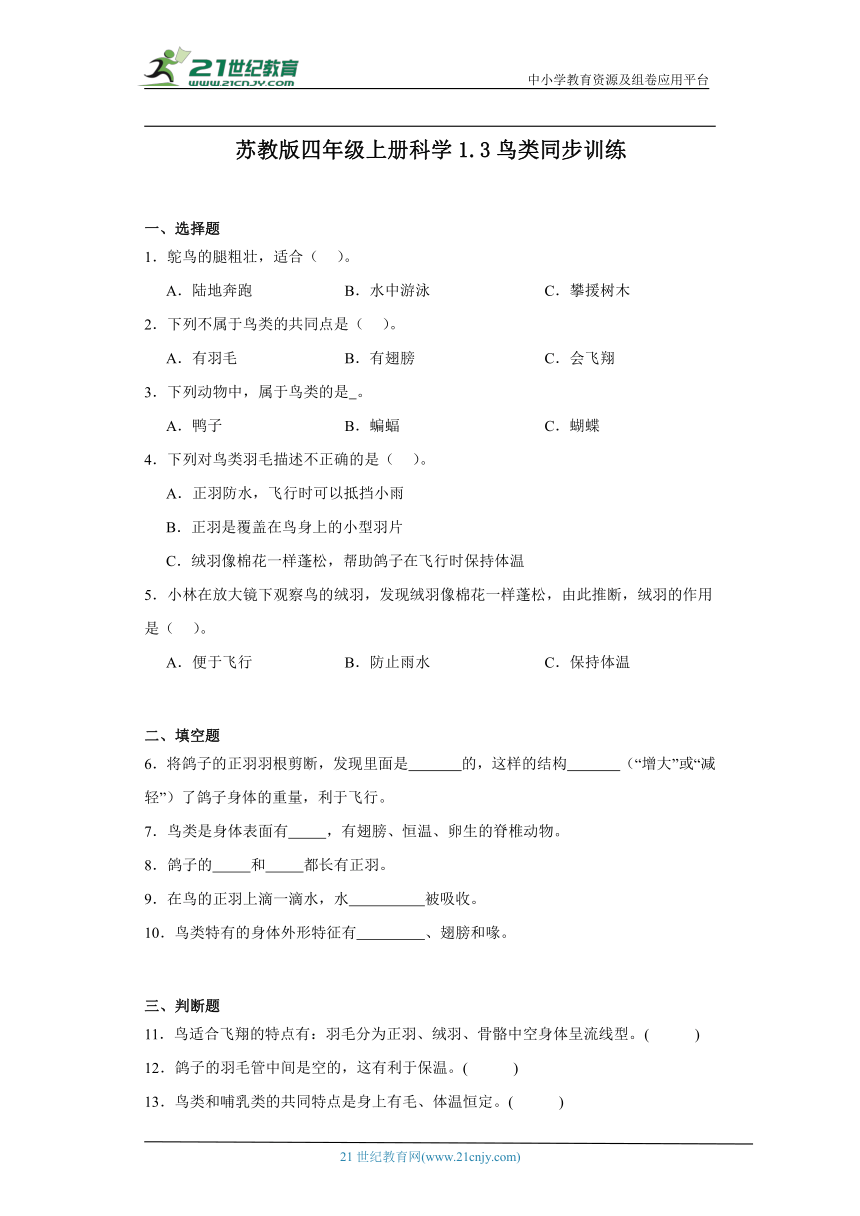 苏教版四年级上册科学1.3 鸟类 同步训练（含答案）