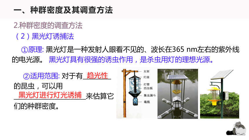 1.1 种群的数量特征(课件共37张PPT)