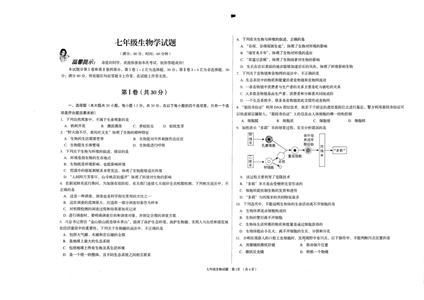 山东省青岛市李沧区2023-2024学年七年级上学期期中考试生物试题（PDF版无答案）