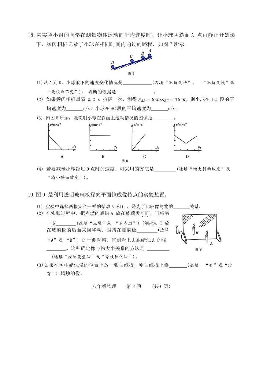 河南省濮阳市2023-2024学年八年级上学期期中物理试题（含答案）