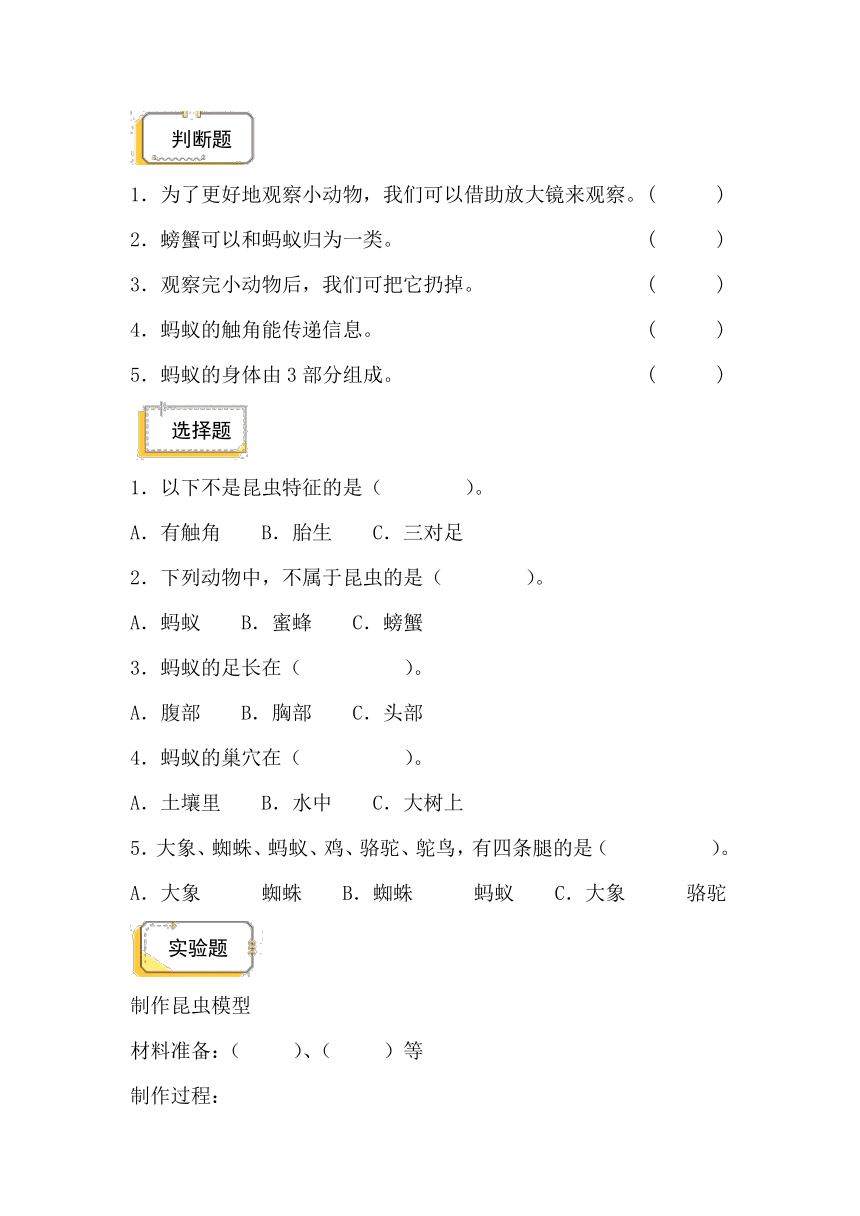 2023-2024学年（青岛版）四年级科学上册 第一单元 动物王国-期中专项复习