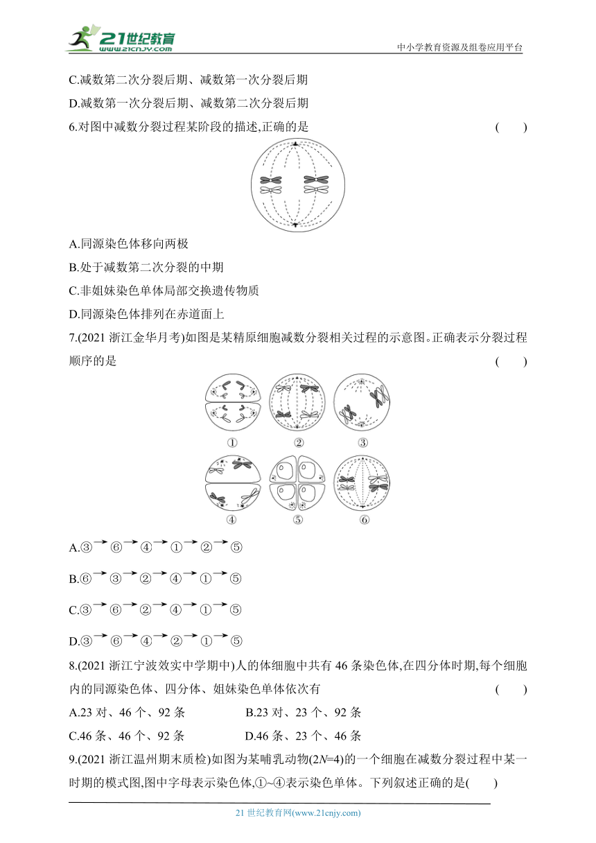 浙科版（2019）高中生物必修2同步练习题：2.1第1课时 减数分裂过程（含解析）