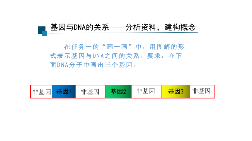 3.4基因通常是有遗传效应的DNA片段课件（25张）2022-2023学年高一下学期生物人教版必修2
