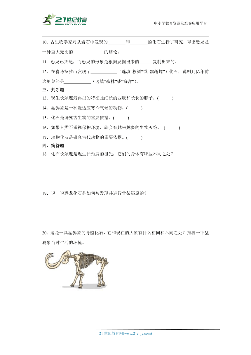 人教鄂教版五年级上册科学2.7 灭绝的远古动物 同步练习（含答案）