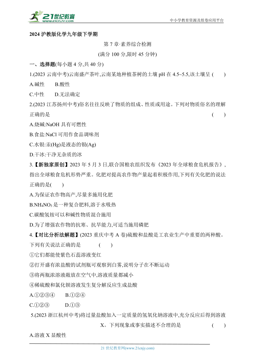 2024沪教版化学九年级下学期课时练--第7章 素养综合检测