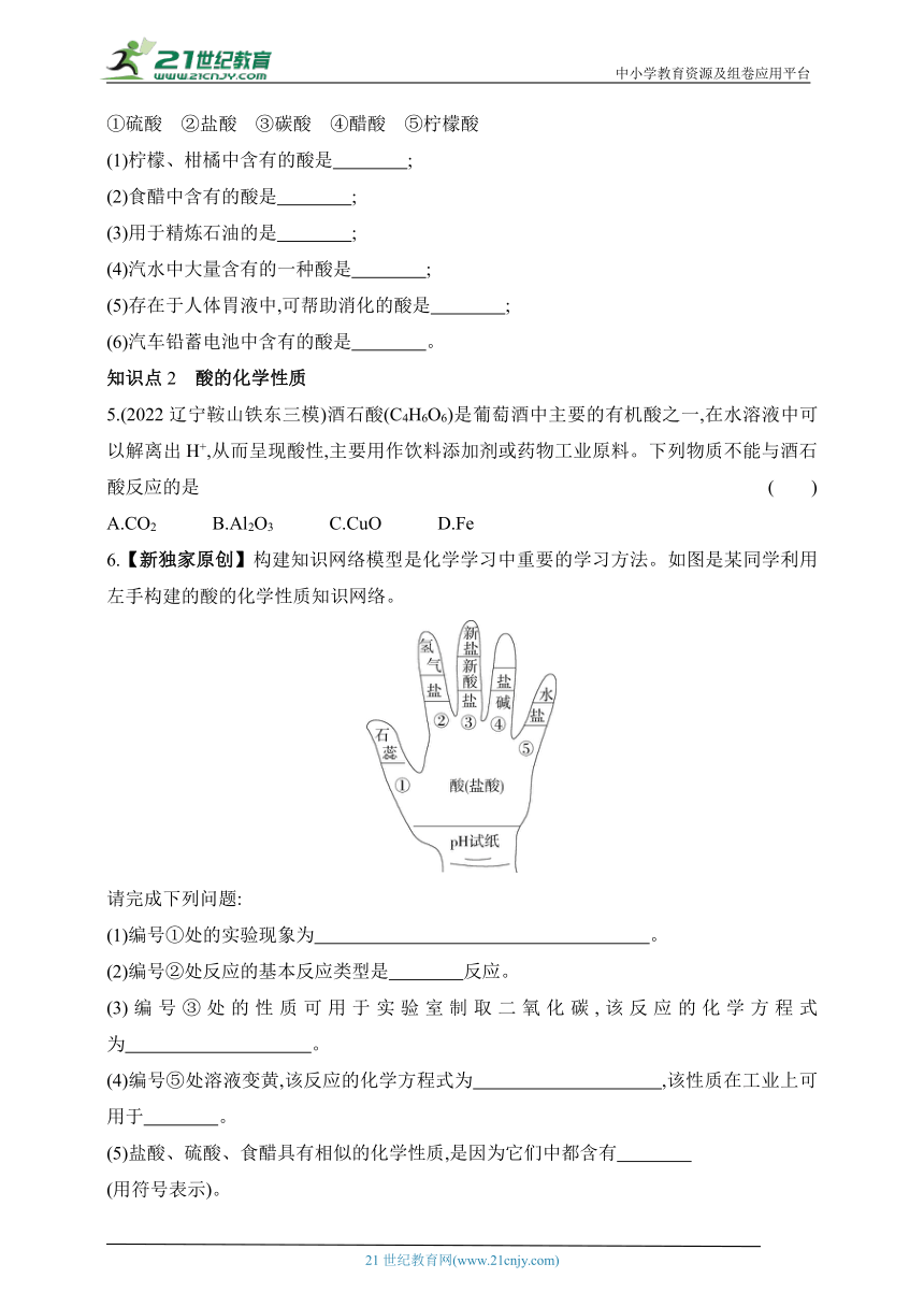 2024沪教版化学九年级下学期课时练--第1课时　常见的酸