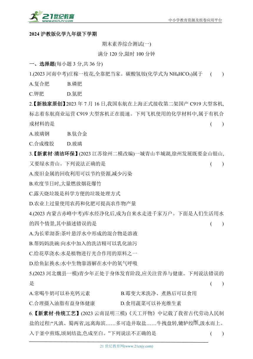 2024沪教版化学九年级下学期课时练--期末素养综合测试(一)