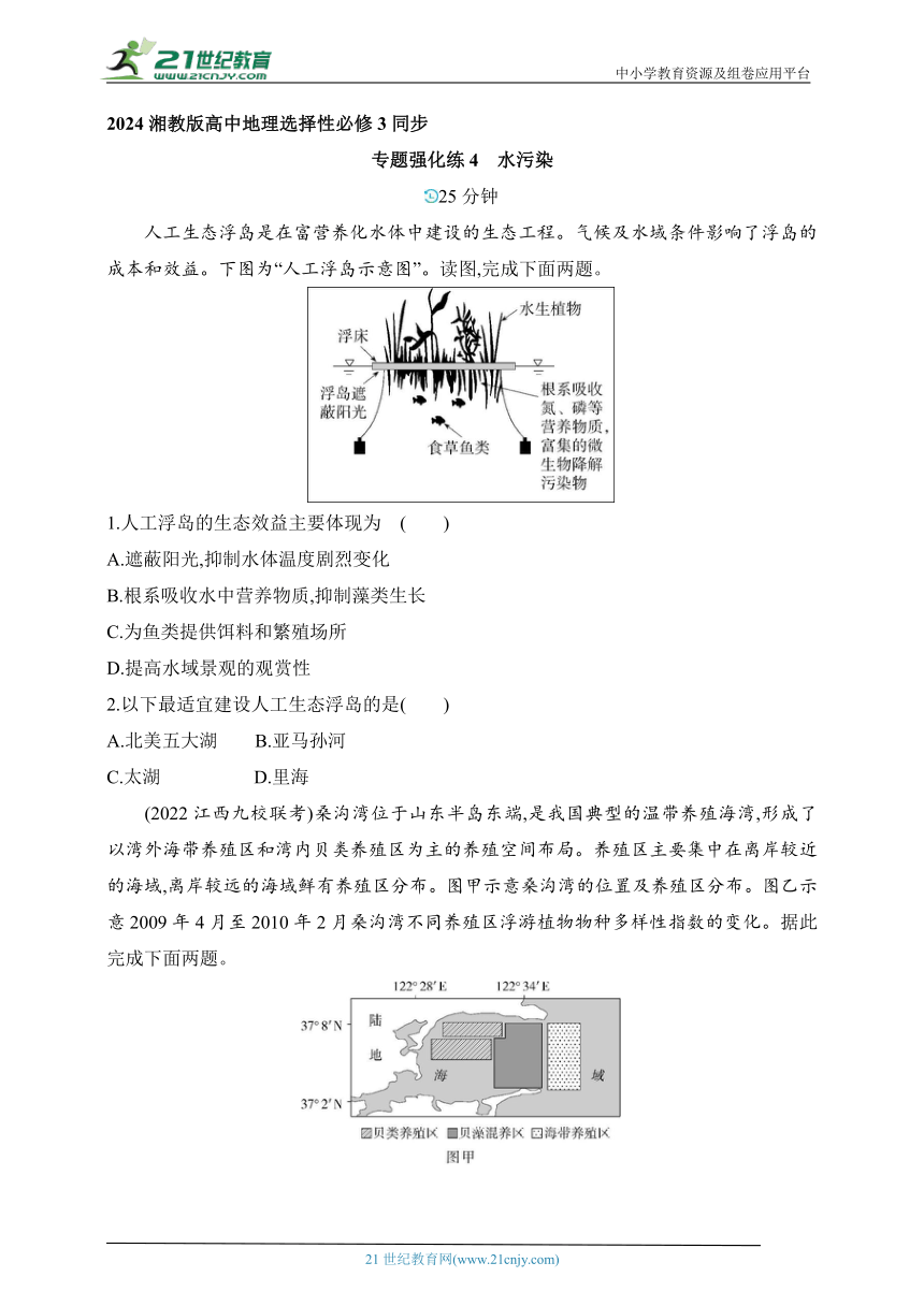 2024湘教版高中地理选择性必修3同步练习题--专题强化练4　水污染（含解析）